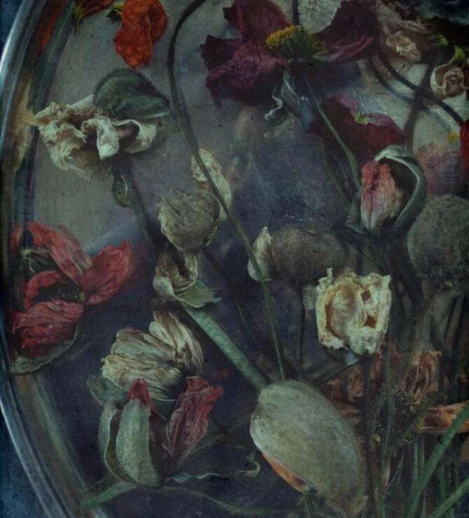 Silver platter piled with flowers of varying colors and decomposition.